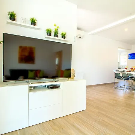 Leon Inmo Palmera - 10337